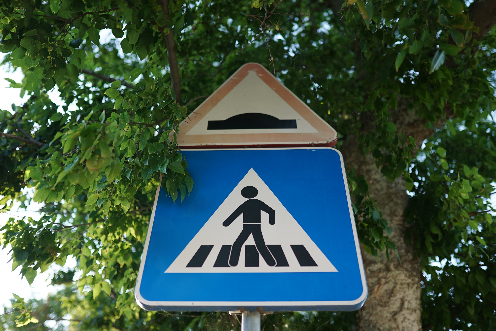 Beautiful shot of a Crosswalk and Speed Bump signs and trees on the background